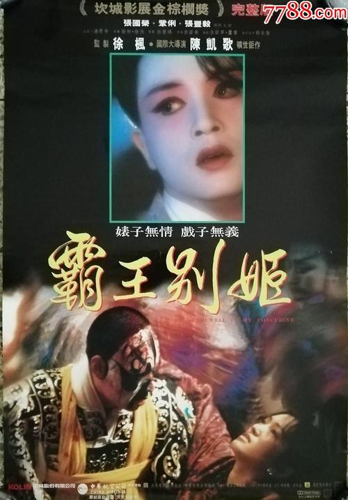 会计师证书哪里可以做